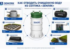 Зорде Рейн 8